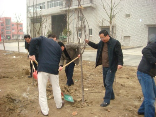 武进项目公司开展植树运动