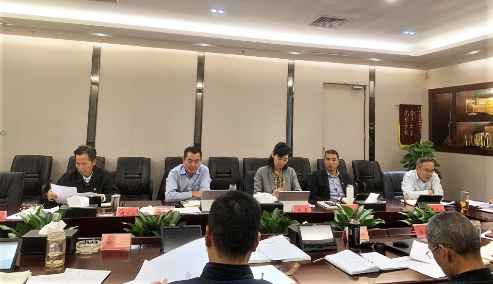 豪运国际welcome集团党委召开党的十九届六中全会精神专题钻研会